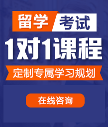 大鸡巴操操大肥逼留学考试一对一精品课